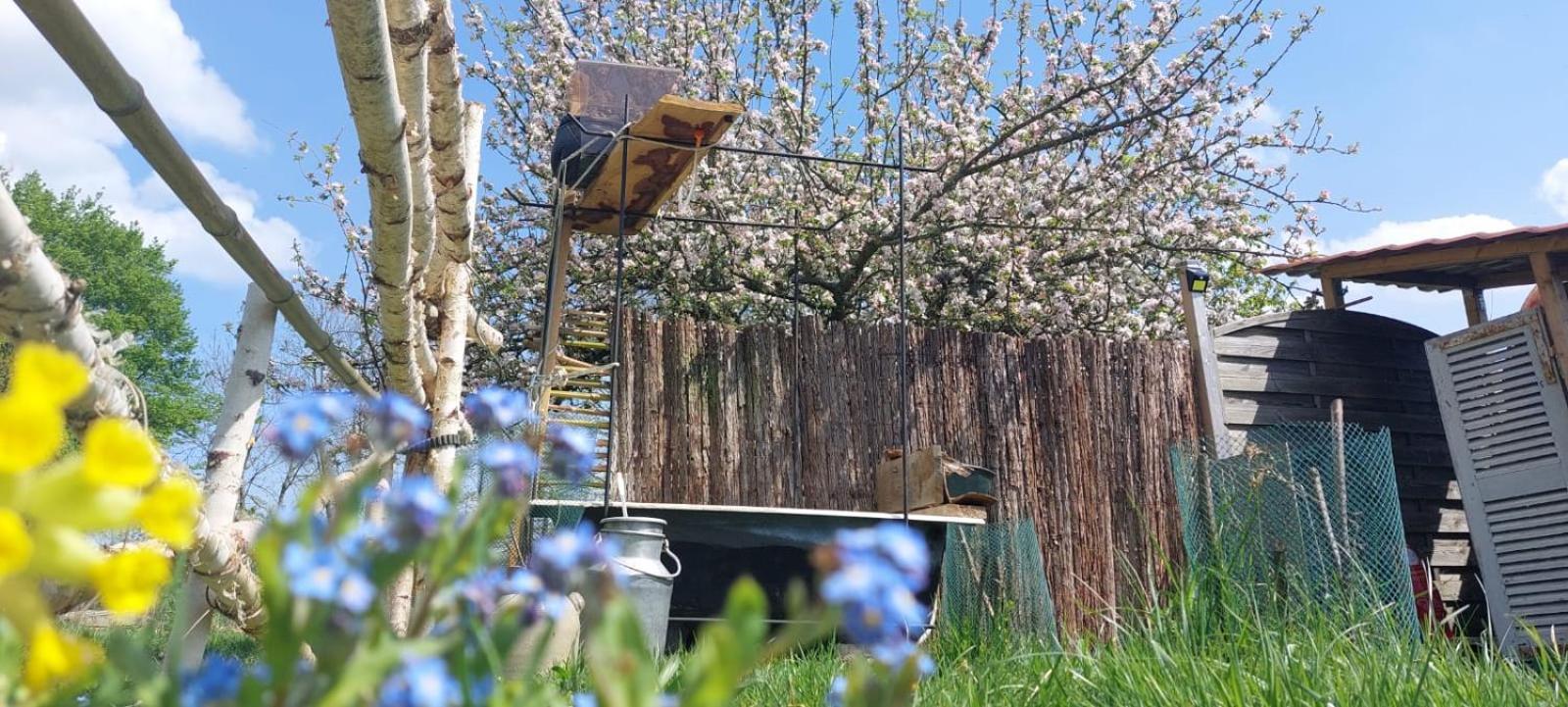 Gite Coeur De Nature Abergement-le-Grand Eksteriør billede